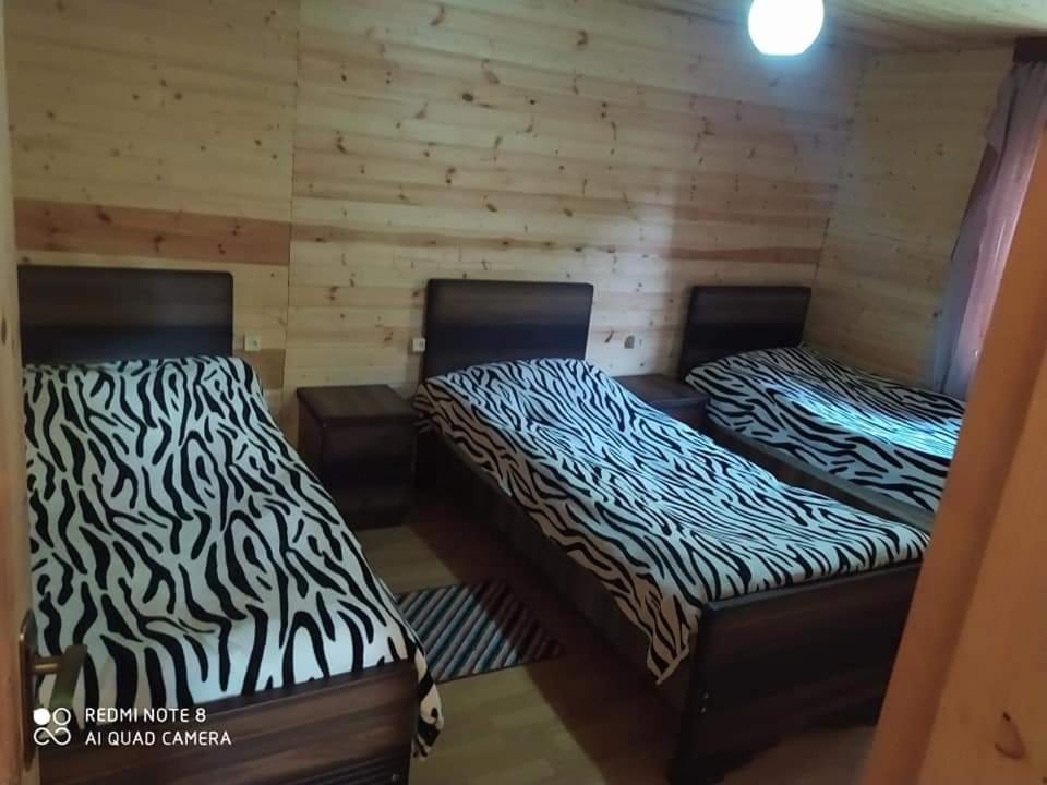 Guesthouse Luka Ushguli Exteriör bild